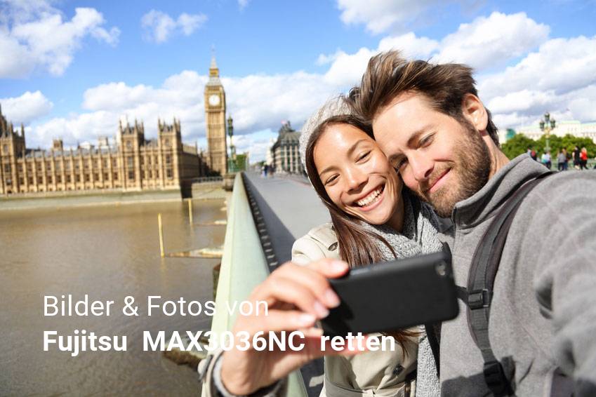 Datenrettung gelöschter Foto & Bilddateien von Fujitsu  MAX3036NC 